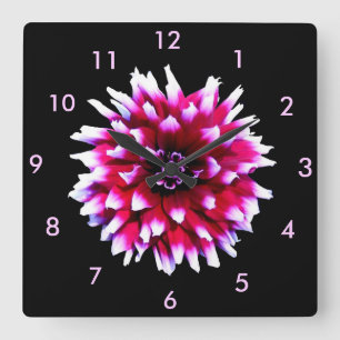 Mooie Roze Witte Dahlia op Zwarte Achtergrond Vierkante Klok