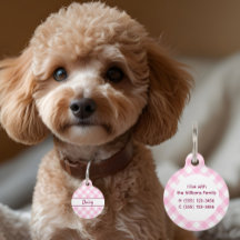 Mooie Roze Witte Gingham Geruite Patroon Naam