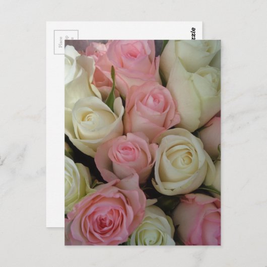 Mooie roze witte rozen bloem Bouquet Briefkaart (Voorkant / Achterkant)