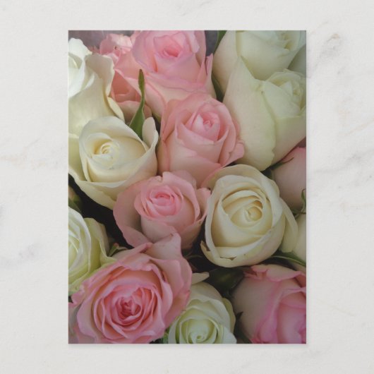 Mooie roze witte rozen bloem Bouquet Briefkaart (Voorkant)