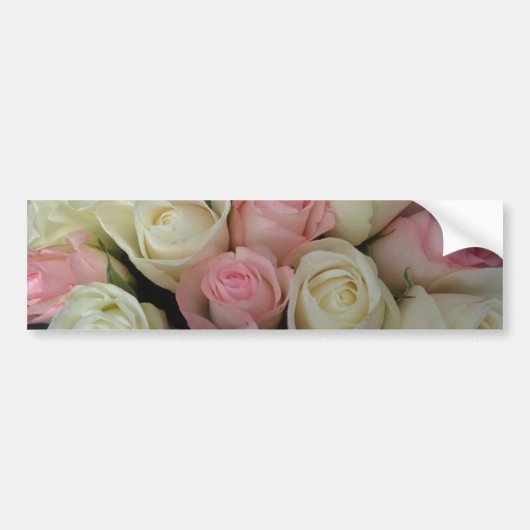Mooie roze witte rozen bloem Bouquet Bumpersticker (Voorkant)