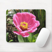 Mooie Roze Zinnia Muismat (Met muis)