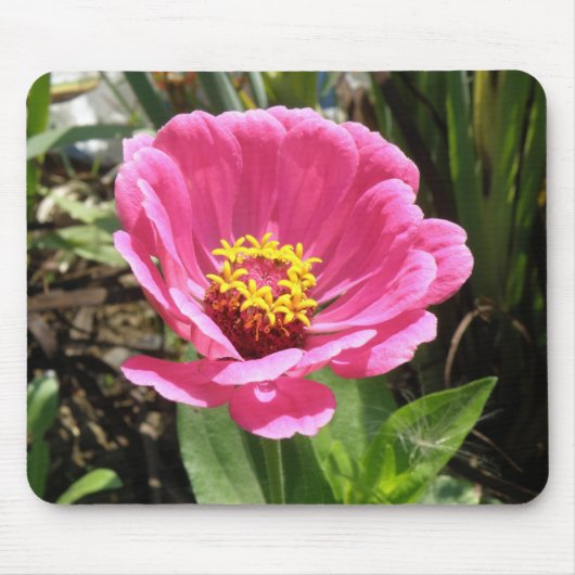 Mooie Roze Zinnia Muismat (Voorkant)
