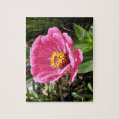 Mooie Roze Zinnia Puzzel (Verticaal)