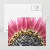 Mooie roze zonnebloem Briefkaart (Voorkant / Achterkant)