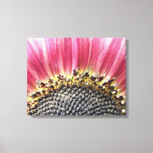 Mooie roze zonnebloem canvas print (Voorkant)