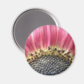 Mooie roze zonnebloem Magnet (Voorkant / Achterkant)