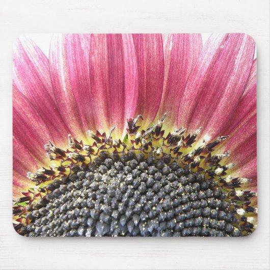 Mooie roze zonnebloem Mousepad Muismat (Voorkant)