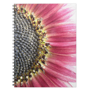 Mooie Roze Zonnebloem Notitieboek