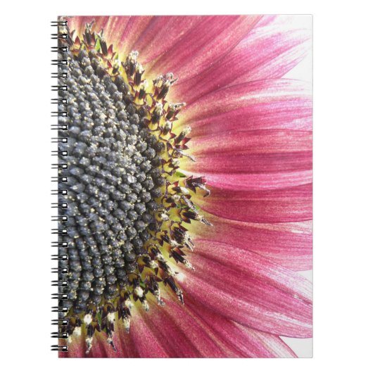 Mooie Roze Zonnebloem Notitieboek (Voorkant)