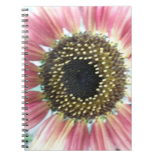 Mooie Roze Zonnebloem Notitieboek