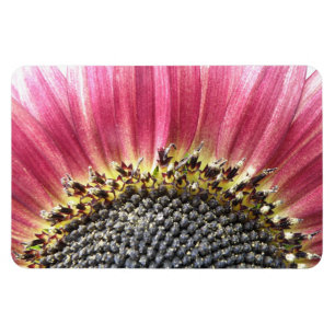 Mooie Roze Zonnebloem Premium Magneet