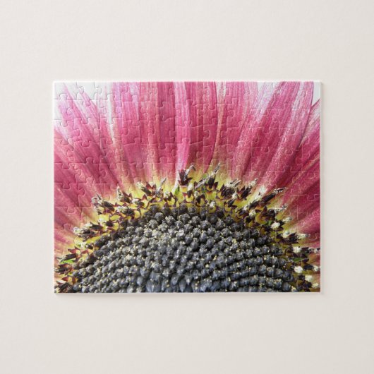 Mooie Roze Zonnebloem Puzzel (Horizontaal)
