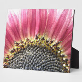Mooie roze zonnebloemplak fotoplaat (Zijkant)