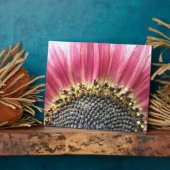 Mooie roze zonnebloemplak fotoplaat (Zijkant)