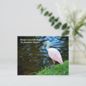 Mooie Rozeate Spoonbill Feestdagenkaart (Staand voorkant)