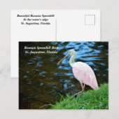 Mooie Rozeate Spoonbill Feestdagenkaart (Voorkant / Achterkant)