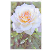 Mooie Rozen Art Calendar カ ン ダ ー Kalender (Jan 2026)