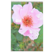 Mooie Rozen Art Calendar カ ン ダ ー Kalender (Feb 2026)