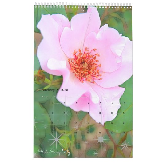 Mooie Rozen Art Calendar カ ン ダ ー Kalender (Feb 2026)