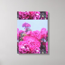 Mooie Rozen bloem met uitgerekte canvas print