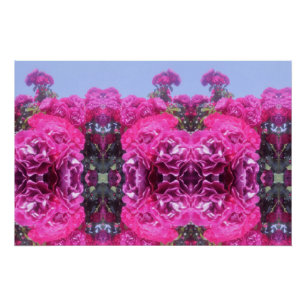 Mooie Rozen bloem Perfect Poster