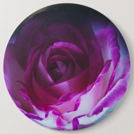 Mooie rozen bloem ronde button 6,0 cm