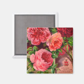 Mooie Rozen Bloemenreclame Magneet (Voorkant / Achterkant)
