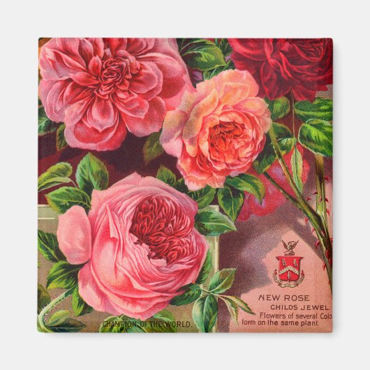 Mooie Rozen Bloemenreclame Magneet (Voorkant)