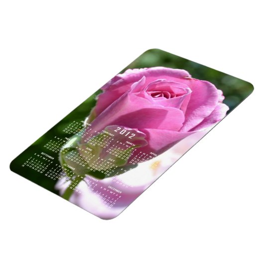 Mooie Rozen Bud Kalender Magneet (Linkerzijde)