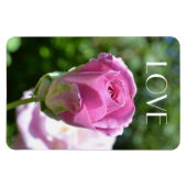 Mooie Rozen Bud Love Magnet Magneet (Horizontaal)