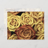 Mooie Rozen  Floral Bouquet Briefkaart (Voorkant / Achterkant)