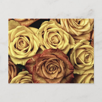 Mooie Rozen  Floral Bouquet Briefkaart