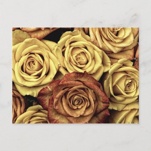 Mooie Rozen  Floral Bouquet Briefkaart (Voorkant)
