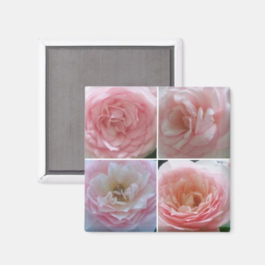 Mooie Rozen Magneet (Voorkant / Achterkant)