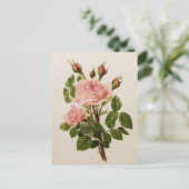 Mooie  Rozen met botanische fijne kunst Briefkaart (Staand voorkant)