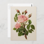 Mooie  Rozen met botanische fijne kunst Briefkaart (Voorkant / Achterkant)