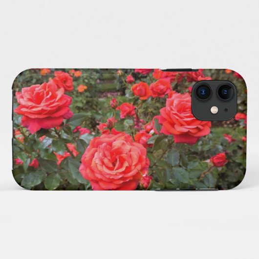 Mooie Rozen, Portland, Oregon Case-Mate iPhone Case (Achterkant (horizontaal))
