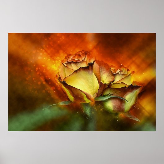 Mooie Rozen Poster (Voorkant)