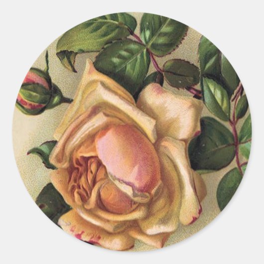 *Mooie  Rozen* Ronde Sticker (Voorkant)