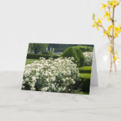 Mooie Rozen Tuin Bloemen Foto Custom Kaart (Gele Bloem)
