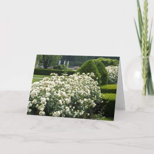 Mooie Rozen Tuin Bloemen Foto Custom Kaart (Voorkant)