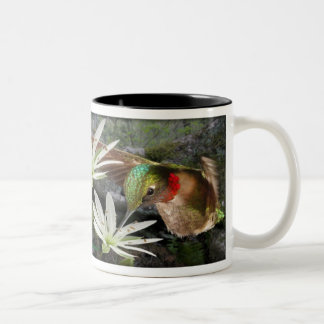 Mooie ruby Throated Hummingbird Tweekleurige Koffiemok