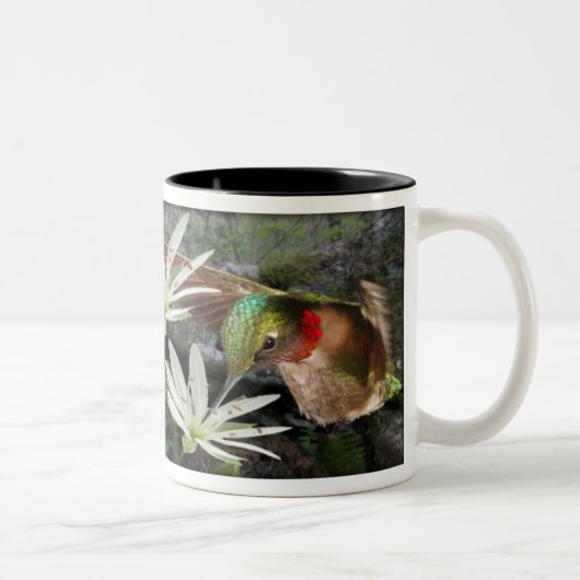 Mooie ruby Throated Hummingbird Tweekleurige Koffiemok (Rechts)