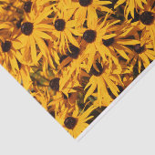 Mooie Rudbeckias Yellow Coneflowers Tissuepapier (Detail)