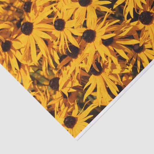 Mooie Rudbeckias Yellow Coneflowers Tissuepapier (Detail)