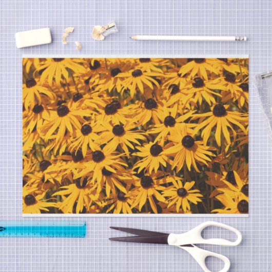 Mooie Rudbeckias Yellow Coneflowers Tissuepapier (Craft)