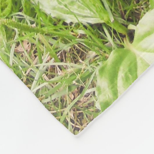 Mooie Runner Duck Fleece Blanket (Hoek)