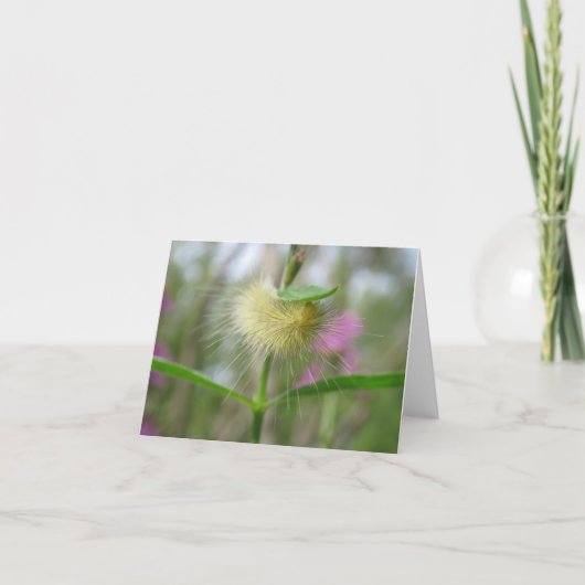 Mooie rups - Blank Wenskaart Kaart (Voorkant)