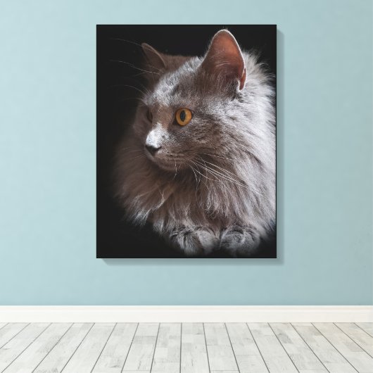 Mooie Russische Blauwe Grijze Kat Nebelung Canvas Afdruk (Insitu (Houten vloer))